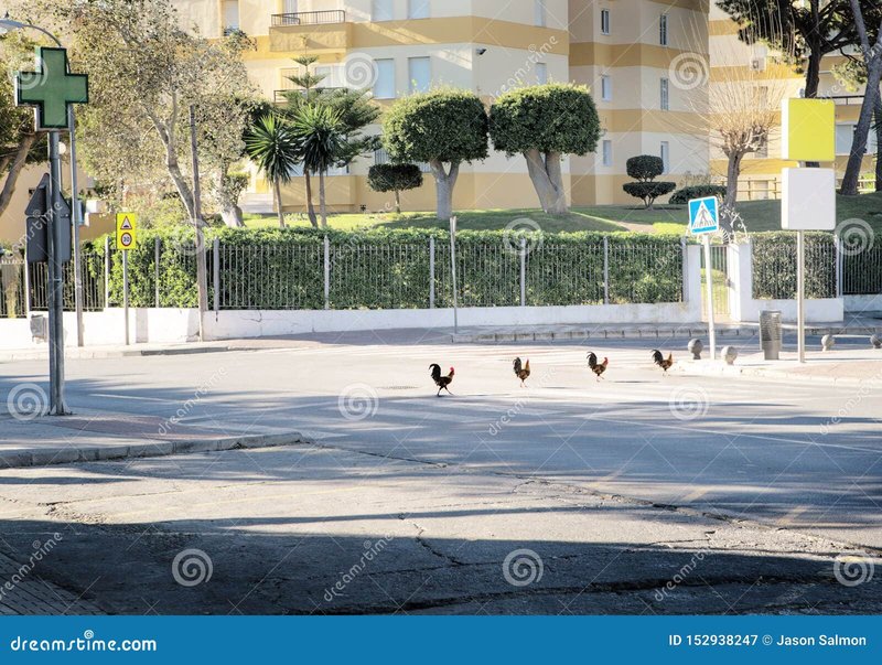 Best chicken road in Spain